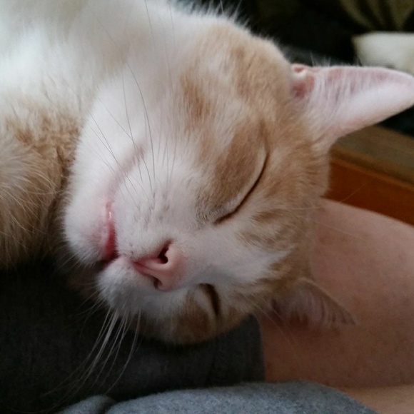 Meet your Posher, Stephanie - Picture 2 of 2